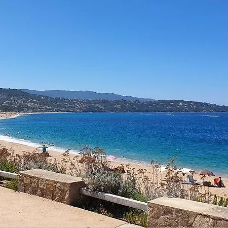 T2 Vue Mer Panoramique Corse Du Sud